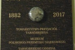 IMG_7854a (Medium)