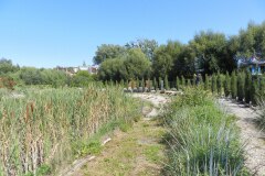 DSCN8037