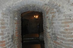 DSCN8079