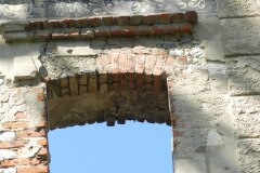 DSCN8142