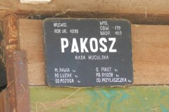 DSCN8190