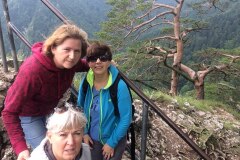 IMG-4412