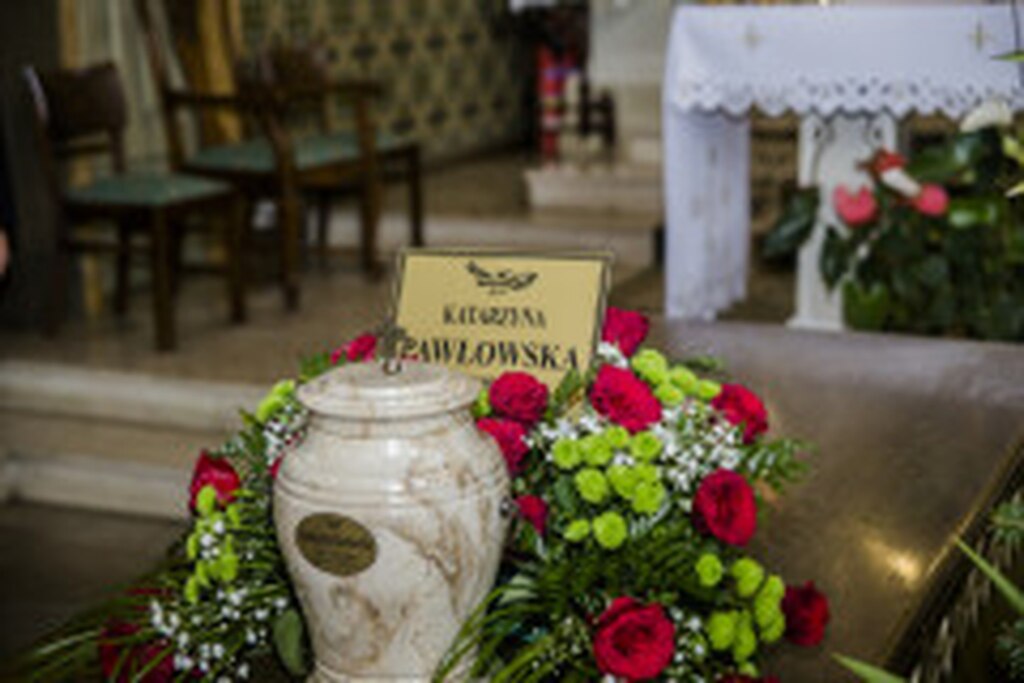 IMG_8564-Duży
