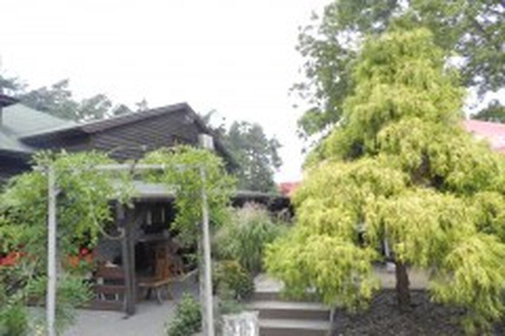 DSCN7824