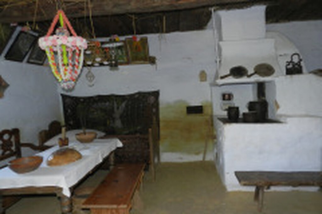 DSCN2809