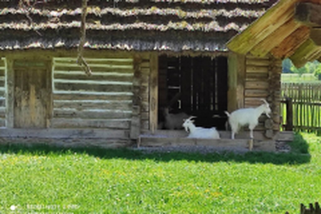 DSCN2852-2