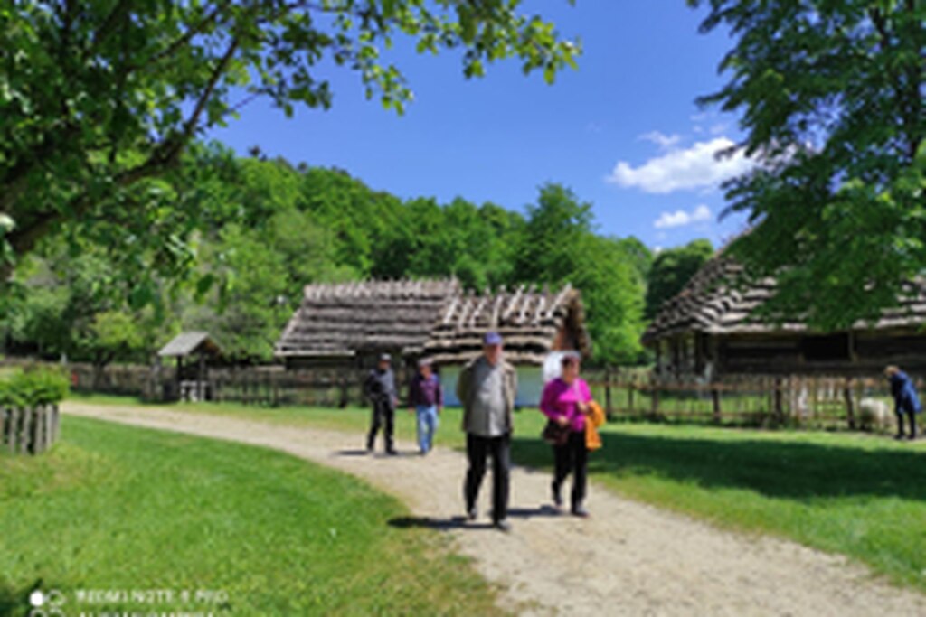 DSCN2852-4