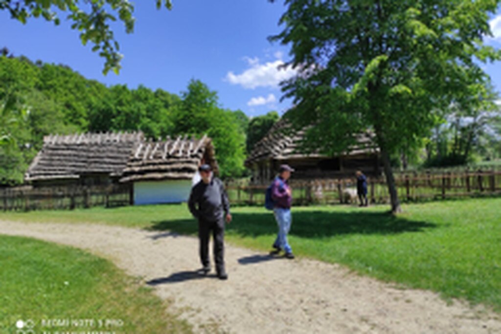 DSCN2852-5