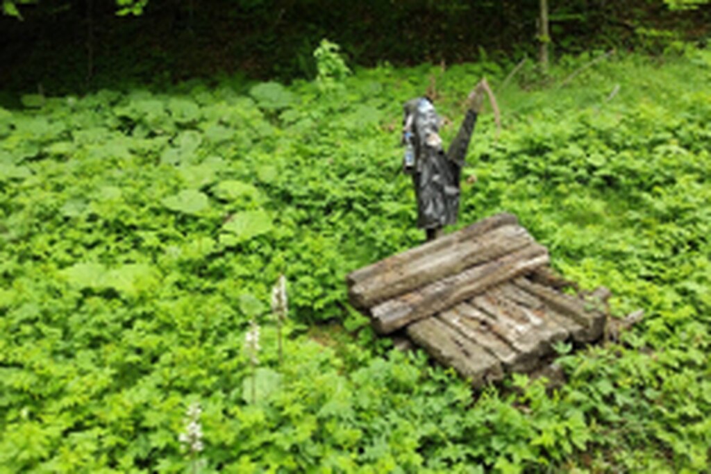 DSCN3003-1