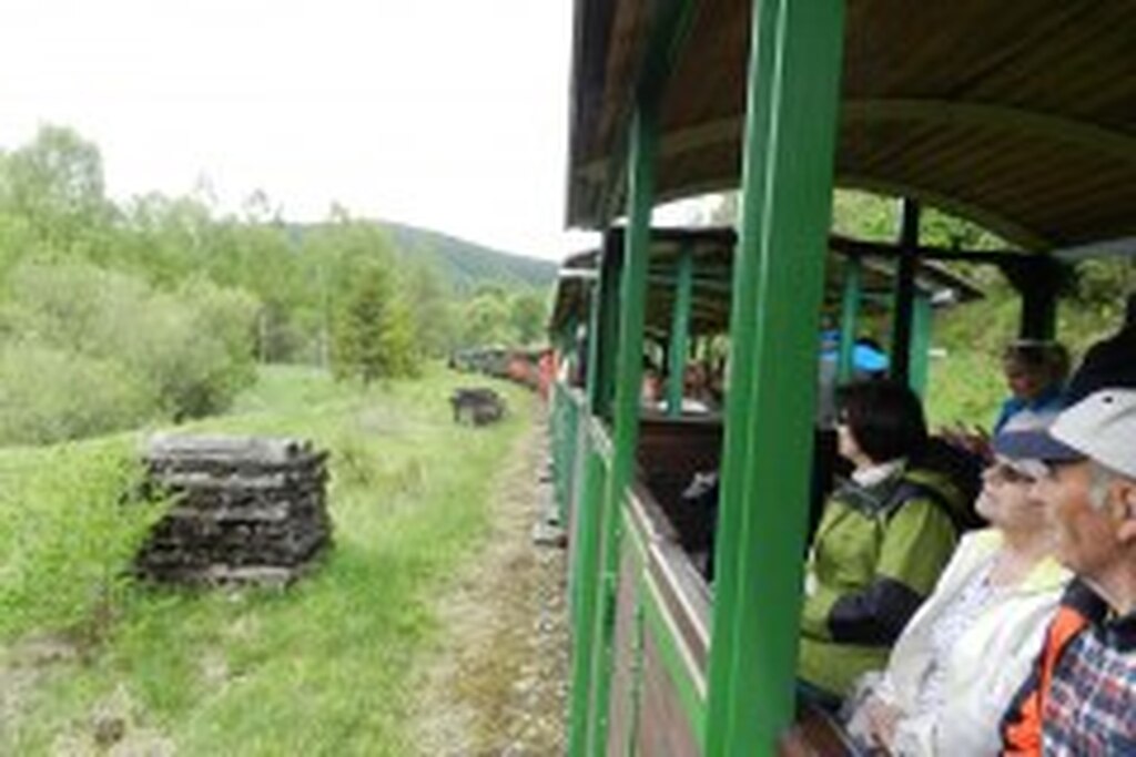 DSCN3022