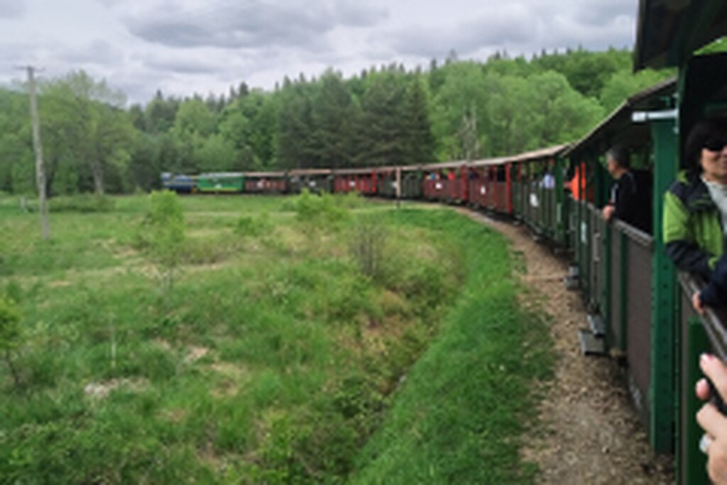 IMG_20220529_133518