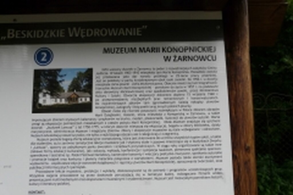 P1410363 (Medium)